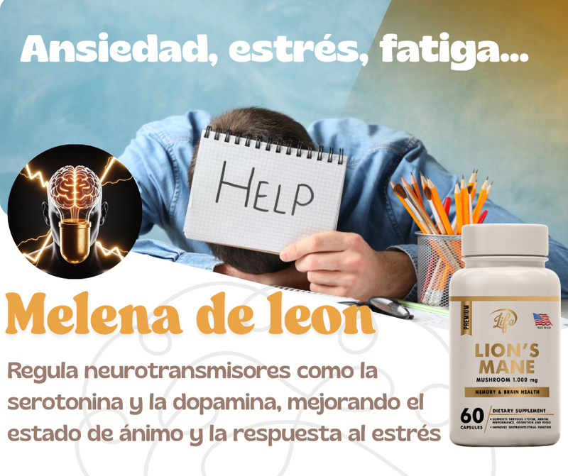 Lion’s Mane – Extracto de Hongo Natural | 60 cápsulas