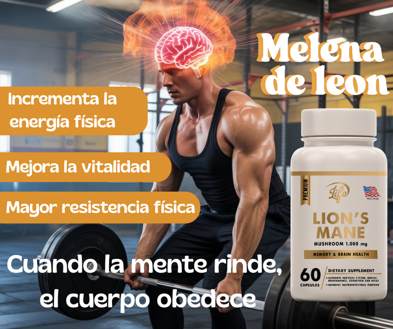 Lion’s Mane – Extracto de Hongo Natural | 60 cápsulas